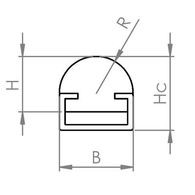 Pilzprofil